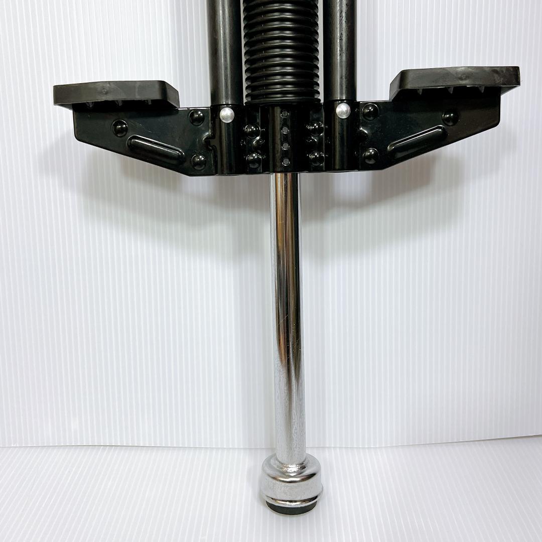 【良品✨】ホッピング Flybar フライバー BL Master pogo