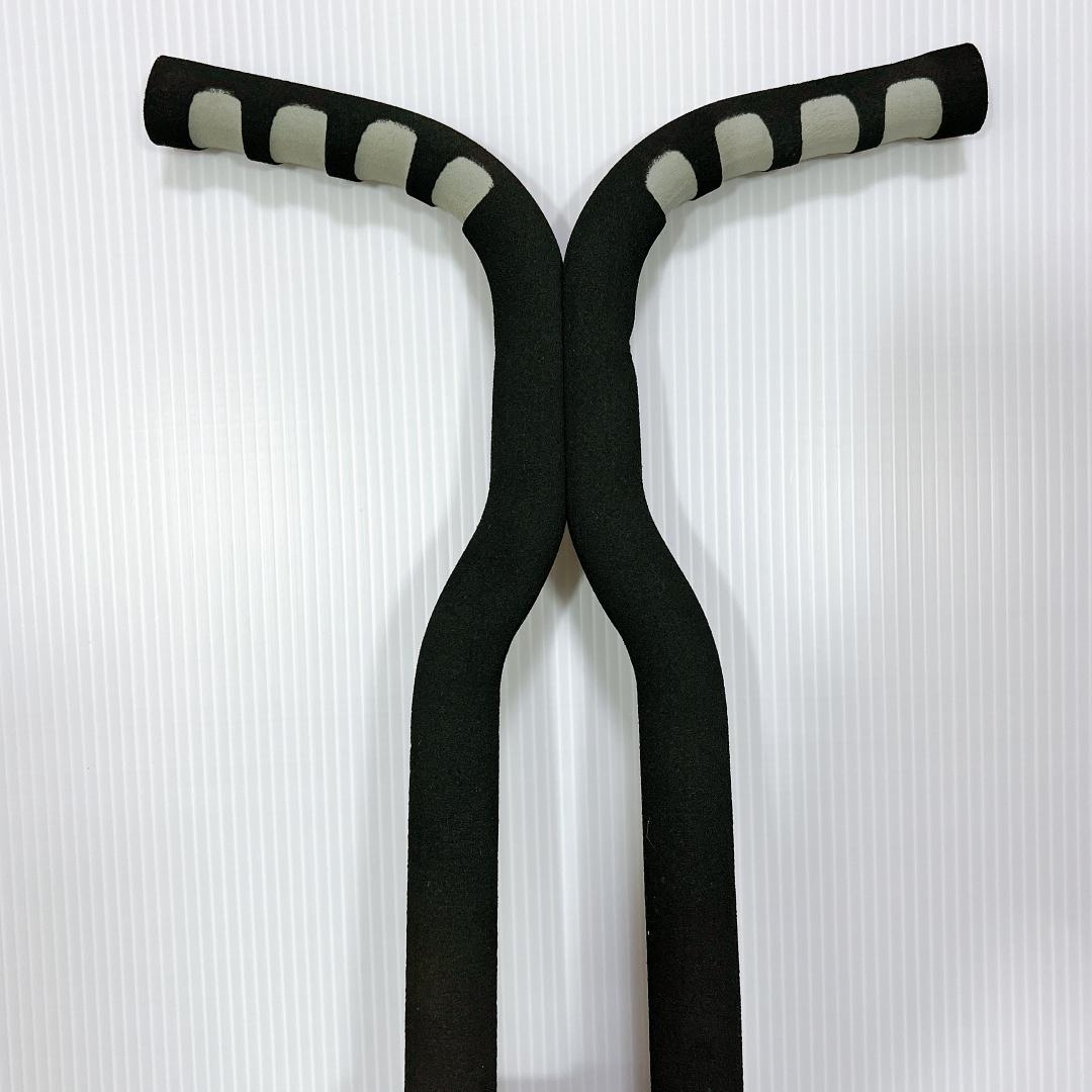 【良品✨】ホッピング Flybar フライバー BL Master pogo