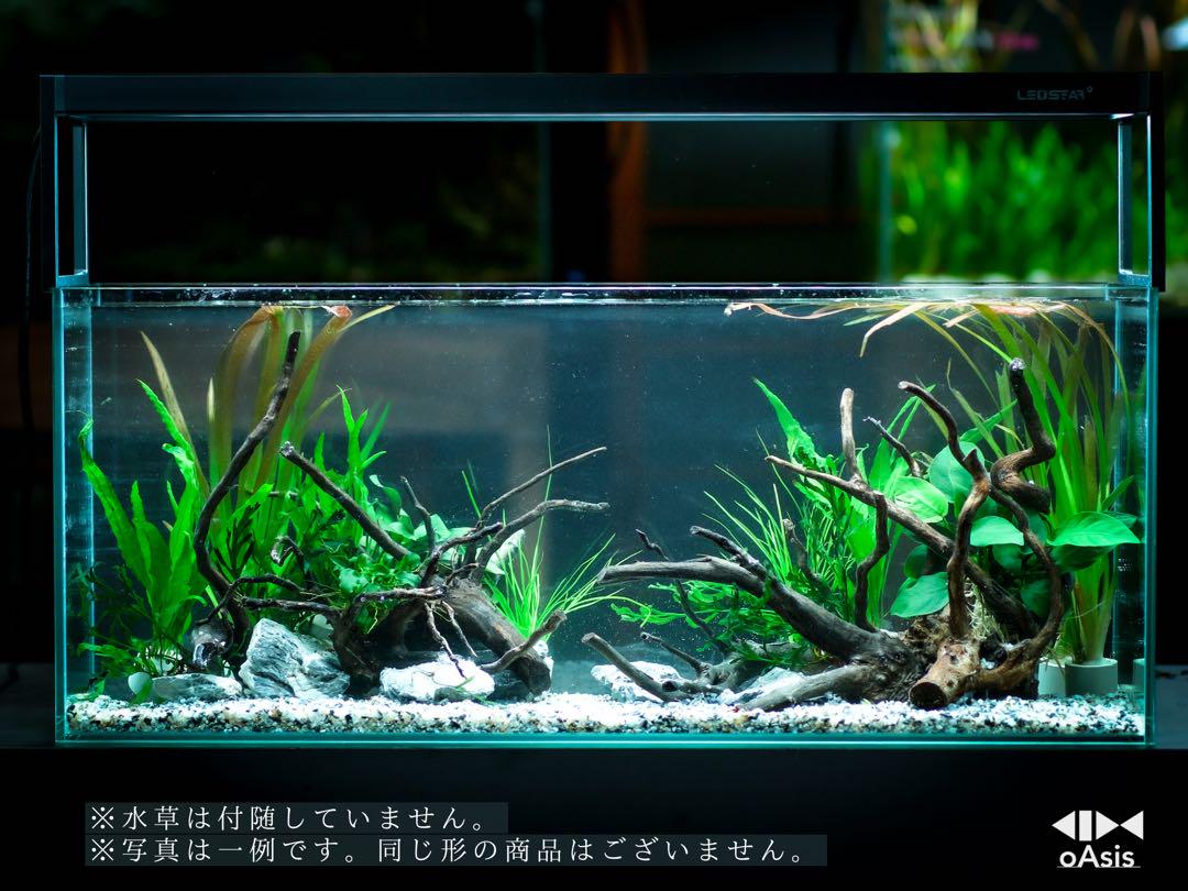 アクアリウム 流木 レイアウトセット 60cm 熱帯魚・水草水槽用 アクアリウム 流木 レイアウトセット 60cmスリム水槽 熱帯魚