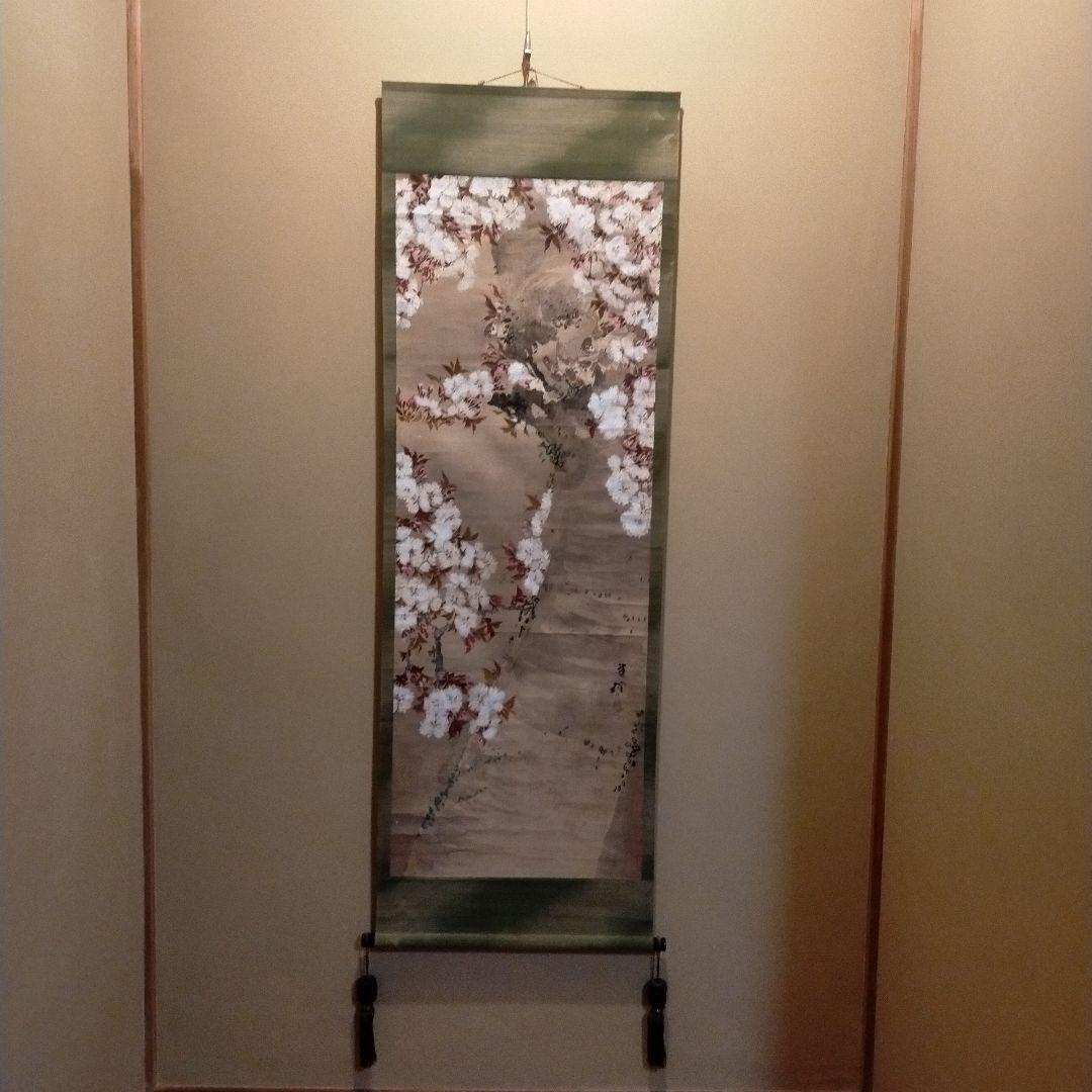 桜　　掛け軸