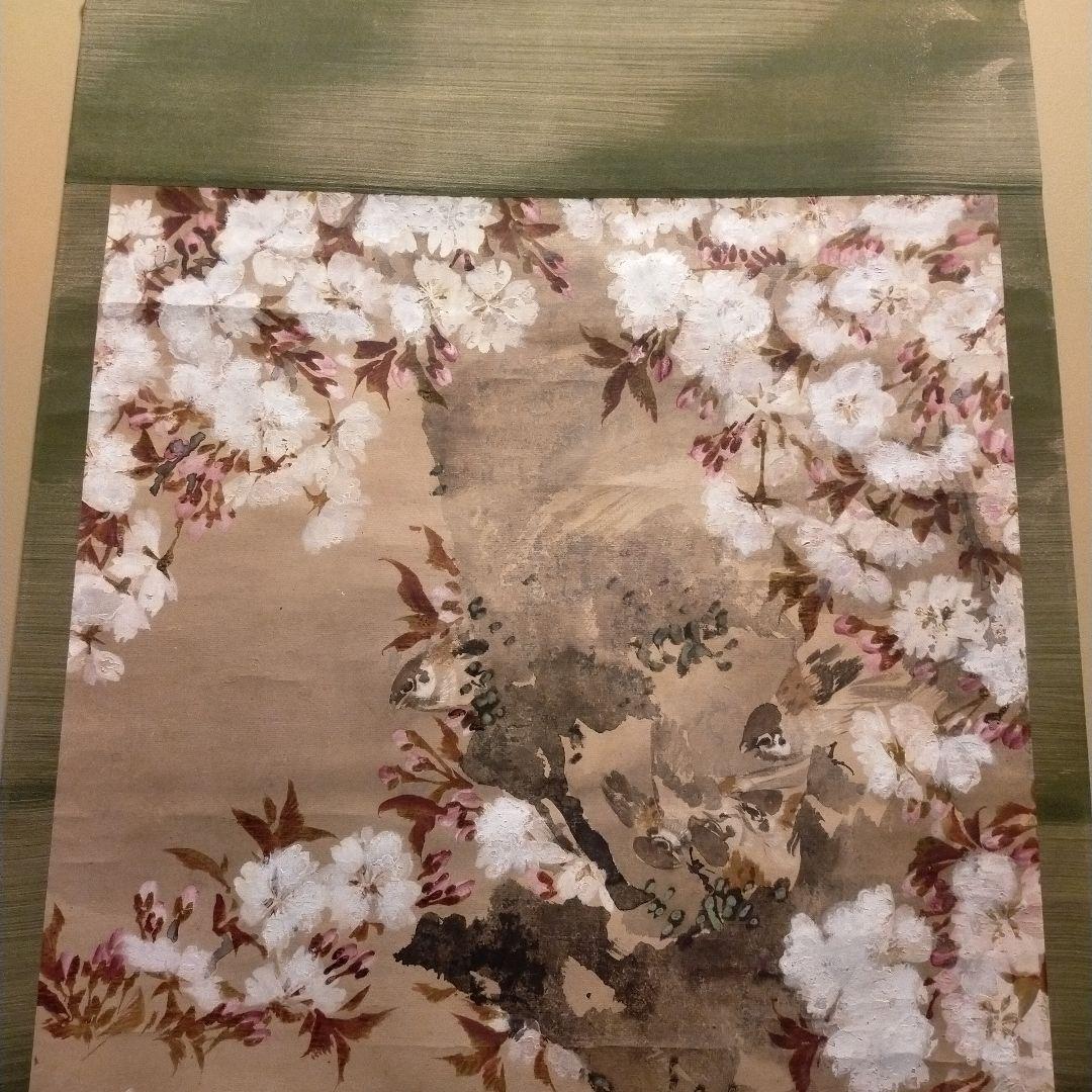 桜　　掛け軸