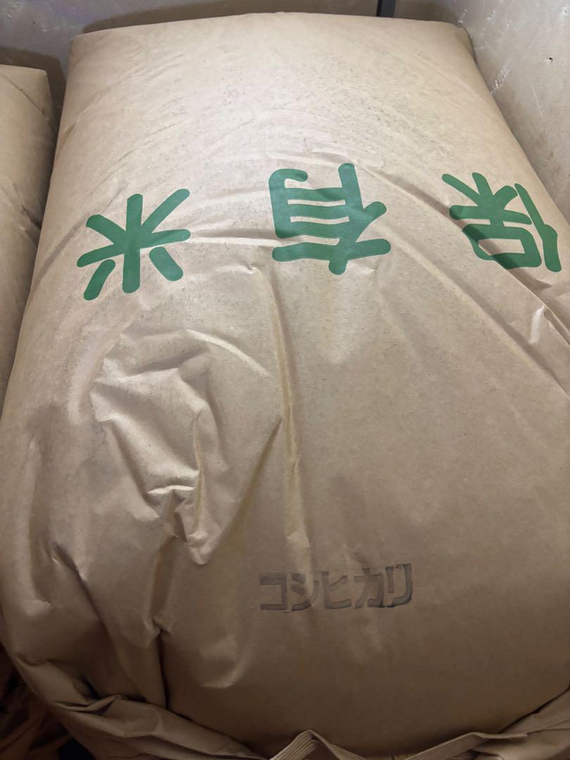 コシヒカリ8キロ　令和5年