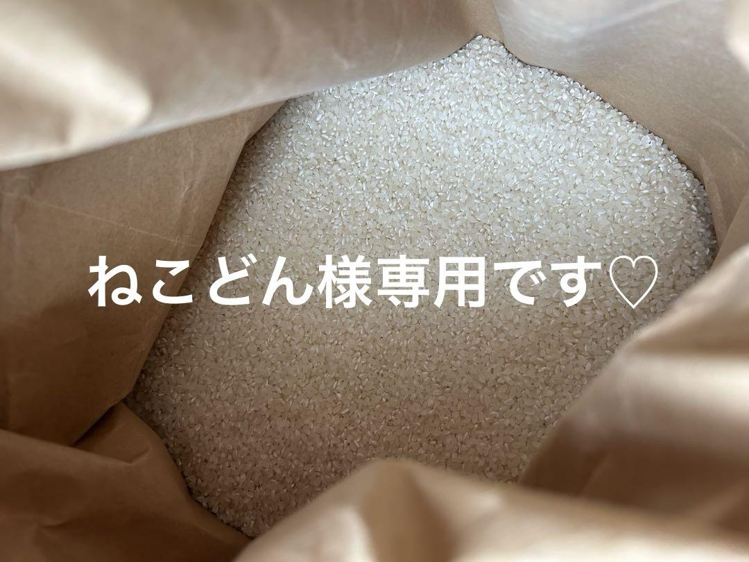 ねこどん様　専用です ♡キヌムスメ　玄米5キロ×4つ