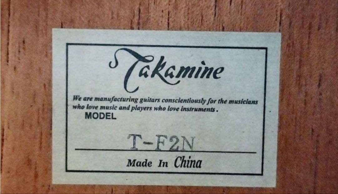 超美品 　 T-F2N ピックアップ付きエレアコ
