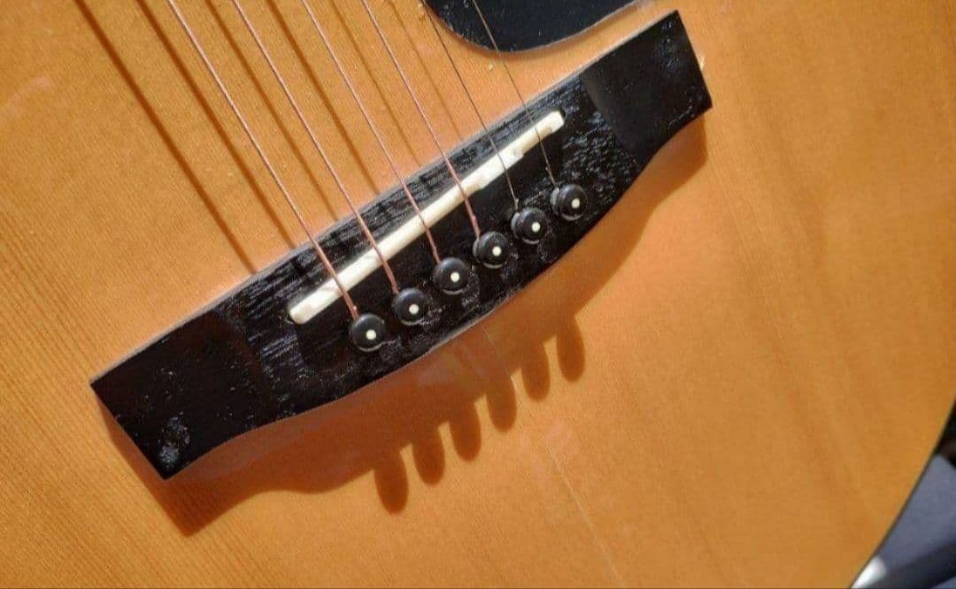 超美品 　 T-F2N ピックアップ付きエレアコ