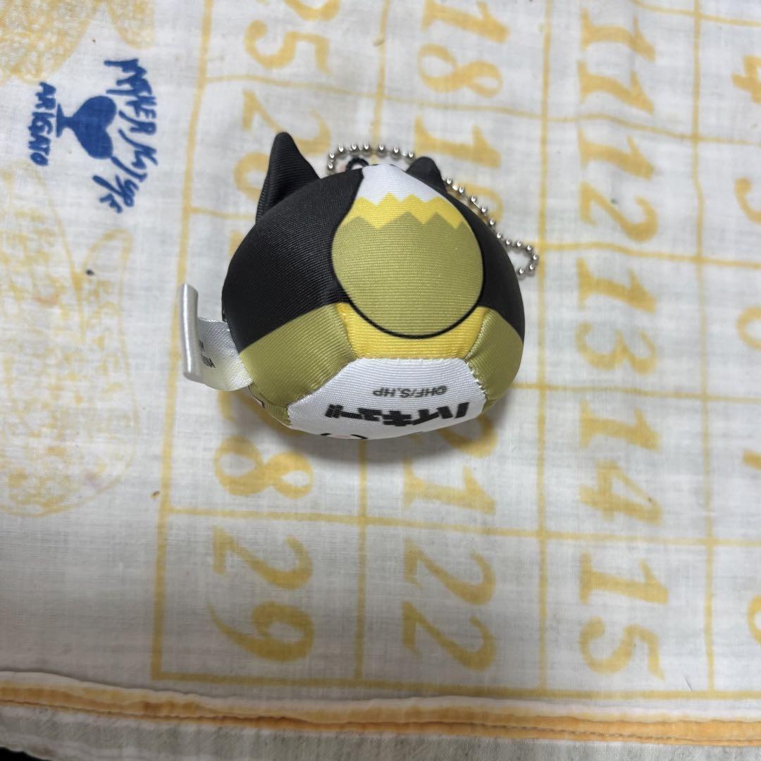 ハイキューグッズ