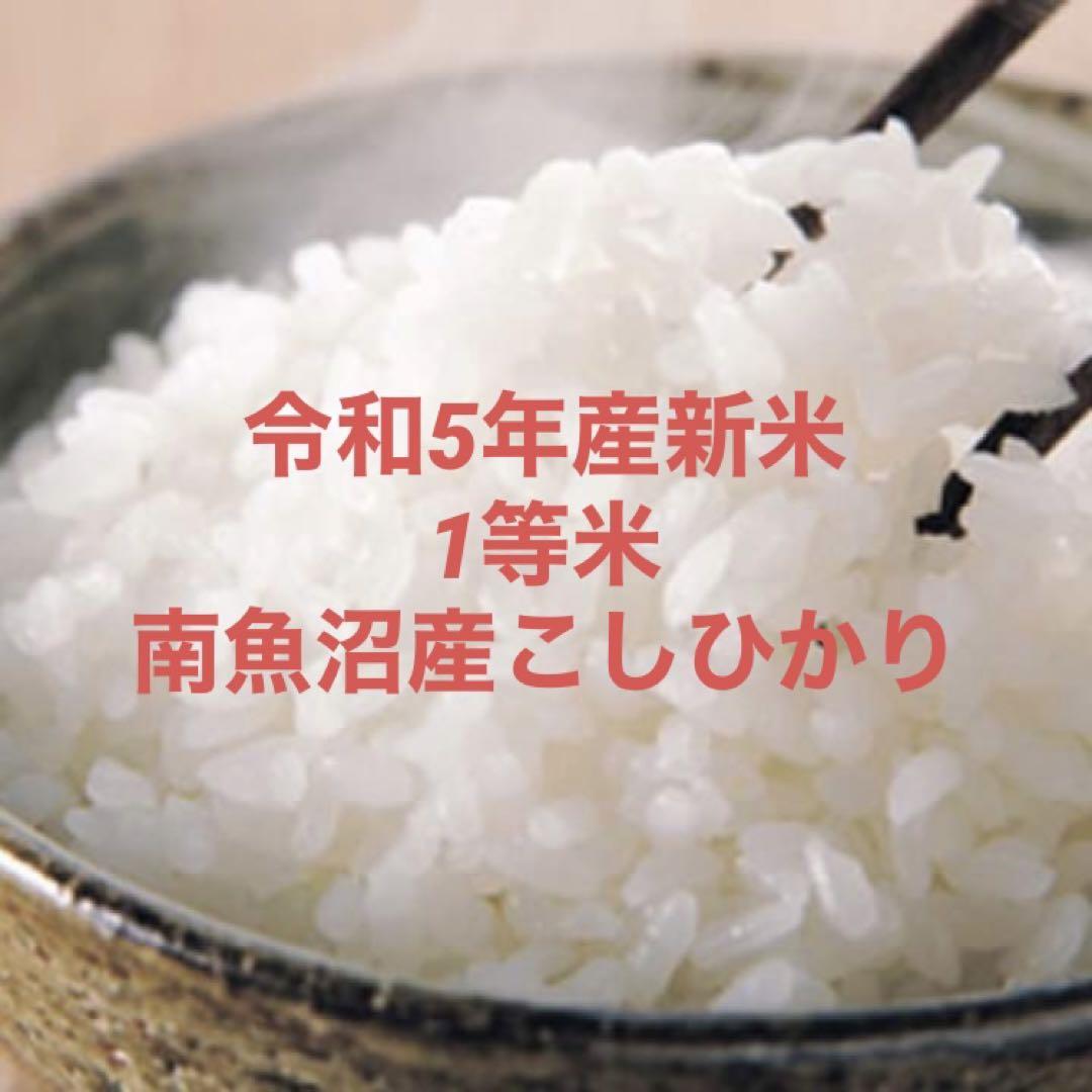 最初値下げ　令和5年産 南魚沼産こしひかり 30kg 玄米 1等 新米 魚沼産