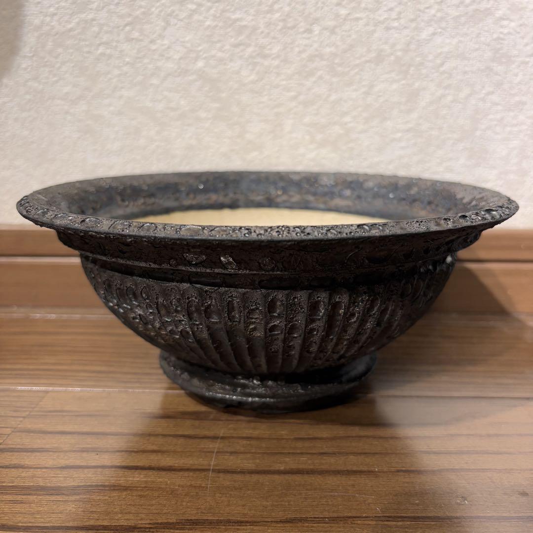 期間限定値下げ　小野瀬一　陶器鉢　アガベ　塊根