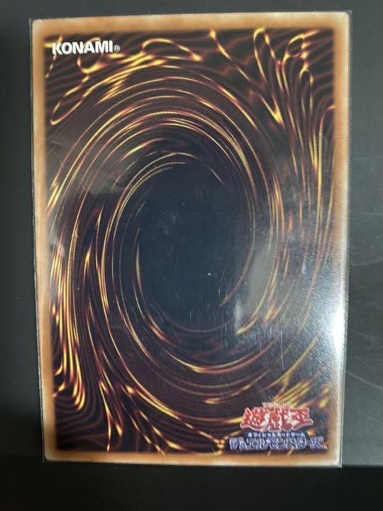 にやや 遊戯王 ホロ mZSKq-m27632686258 ブラックローズドラゴン にやや