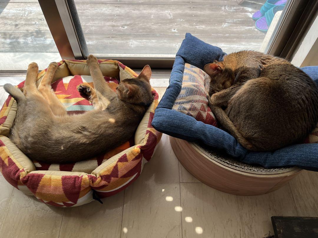 ペットベッド　ハンドメイド442ペンドルトン　リメイク　猫ベッド　犬ベッド