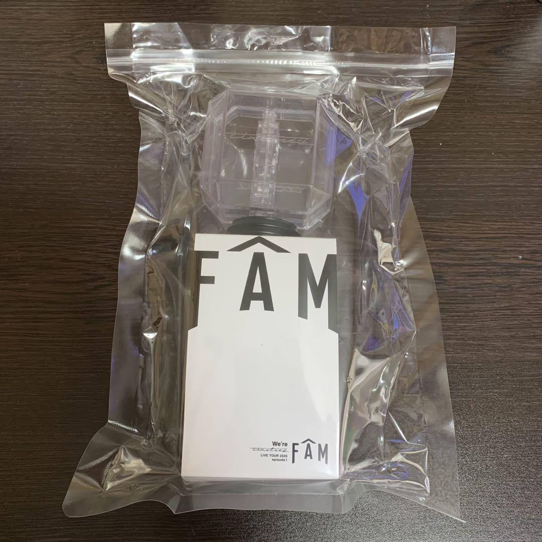 timelesz ペンライト FAM 2025 - メルカリ