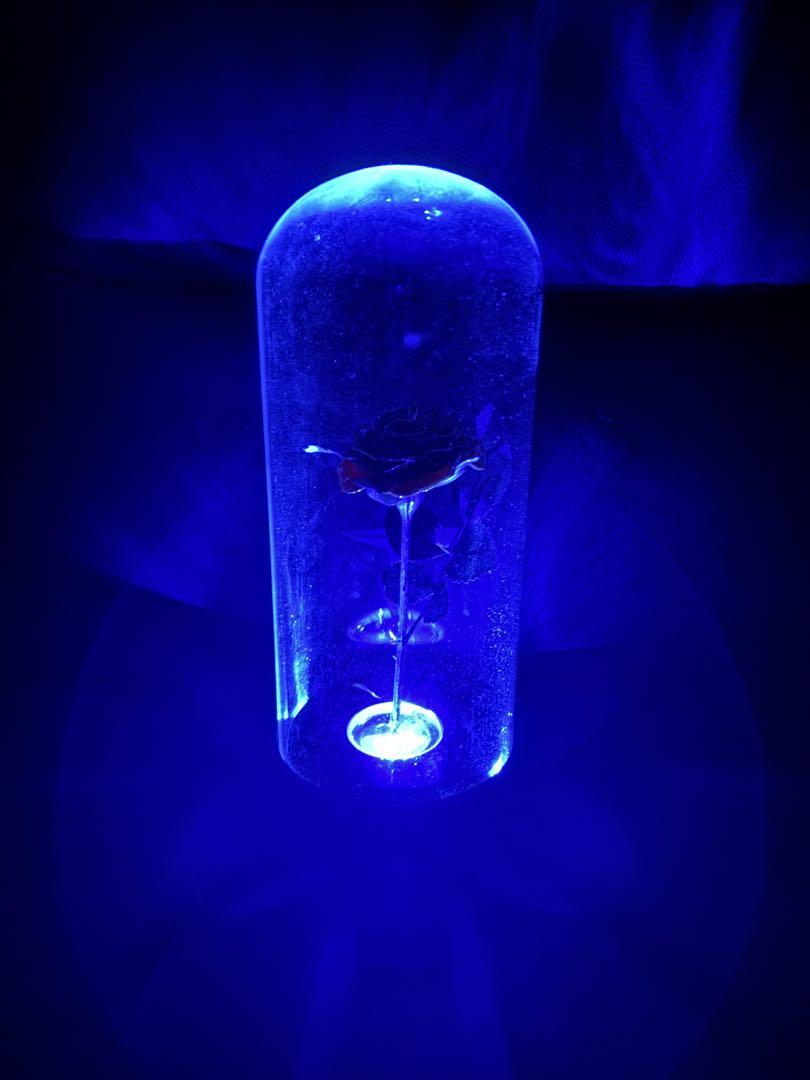 LEDライト 薔薇