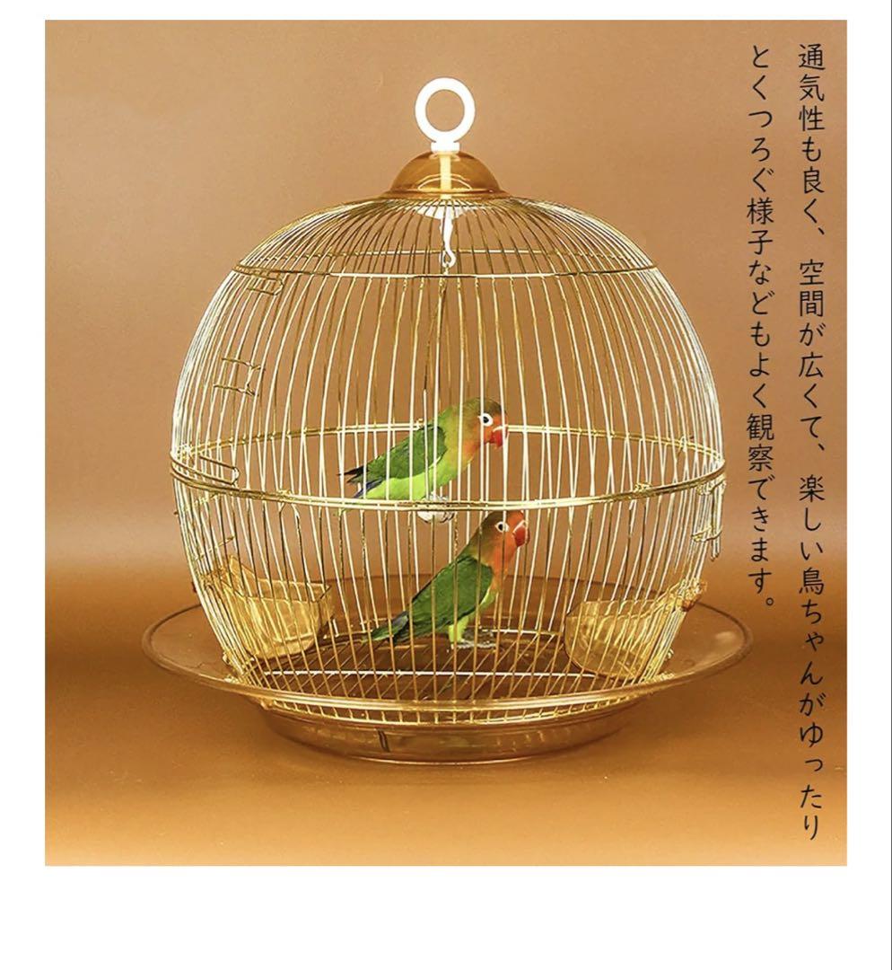 鳥かご 鳥ケージ インコ ゴールド 38×38cm