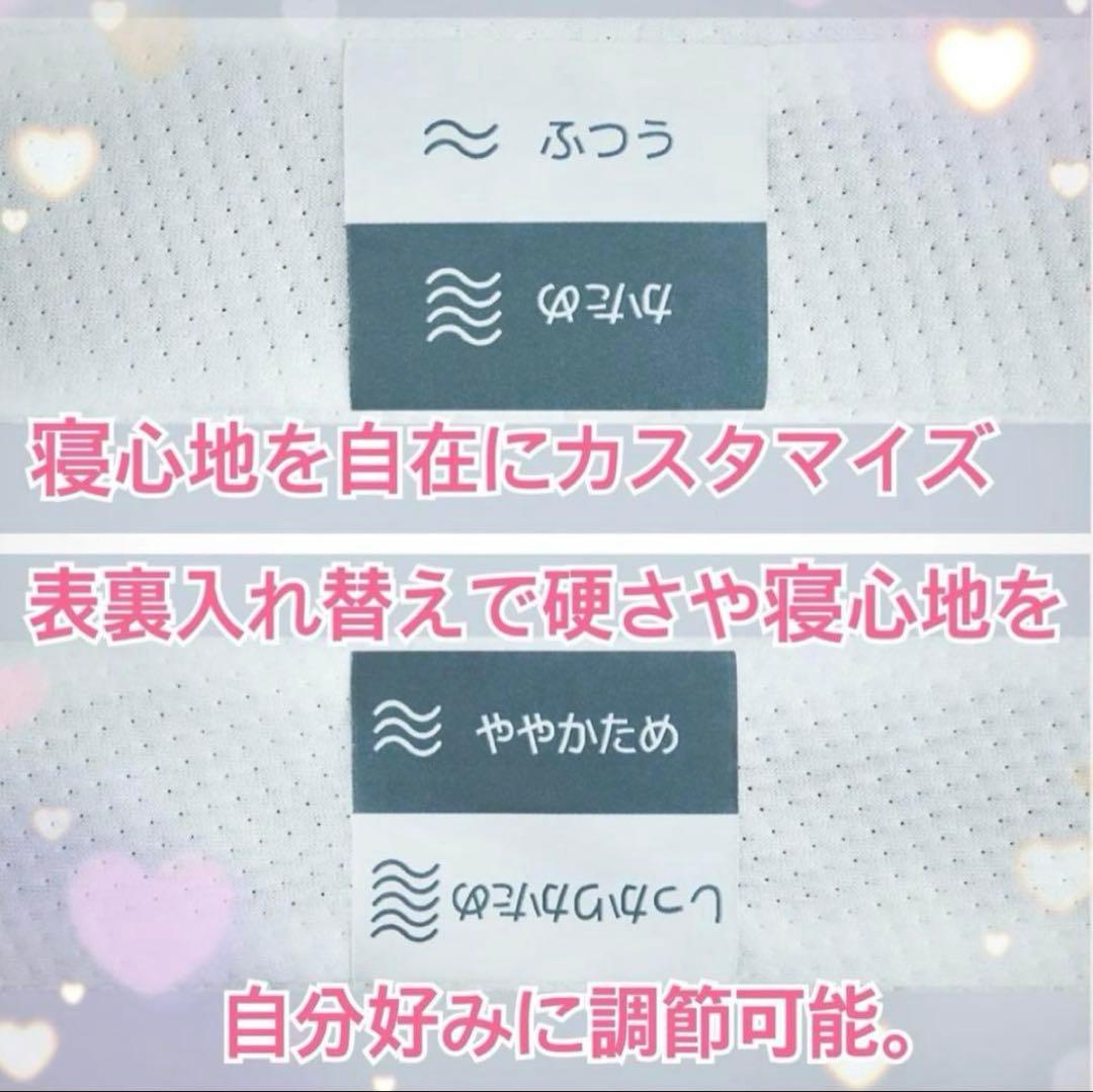 三つ折り コアラ