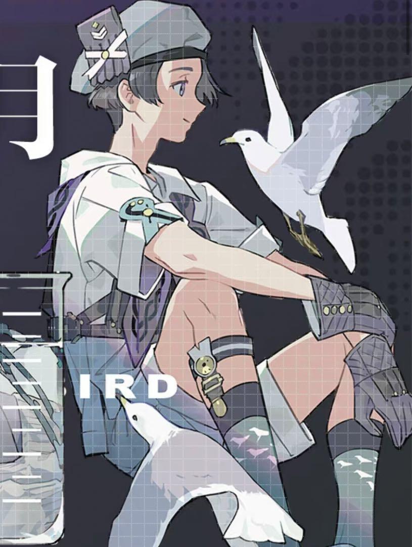 海外人物マスキングテープ花鳥風月⚠️虹光pet（211.6596）