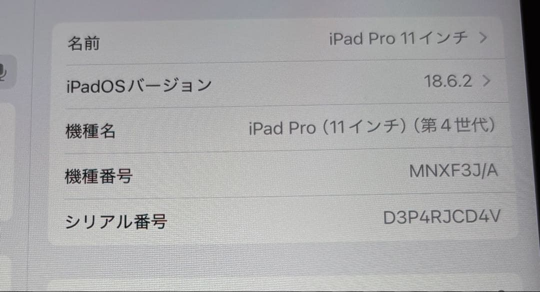 iPad Pro 11インチ 256GB wifi モデル スペースグレー iPad Pro 11インチ 256GB wifi モデル スペースグレー