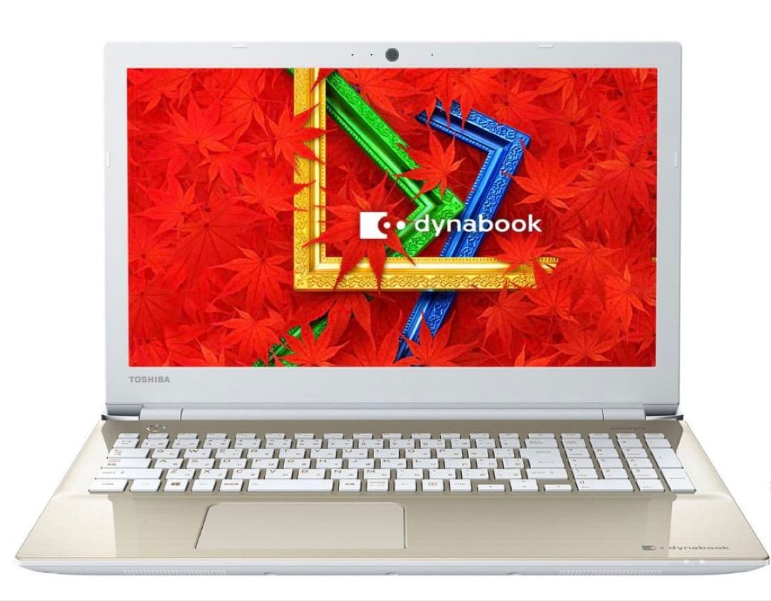 dynabook T55/AG i3-6100 SSD 256GB 8GB