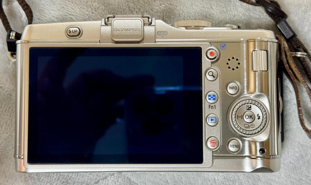 OLYMPUS オリンパス PEN E-P3 14-42レンズキット カスタム