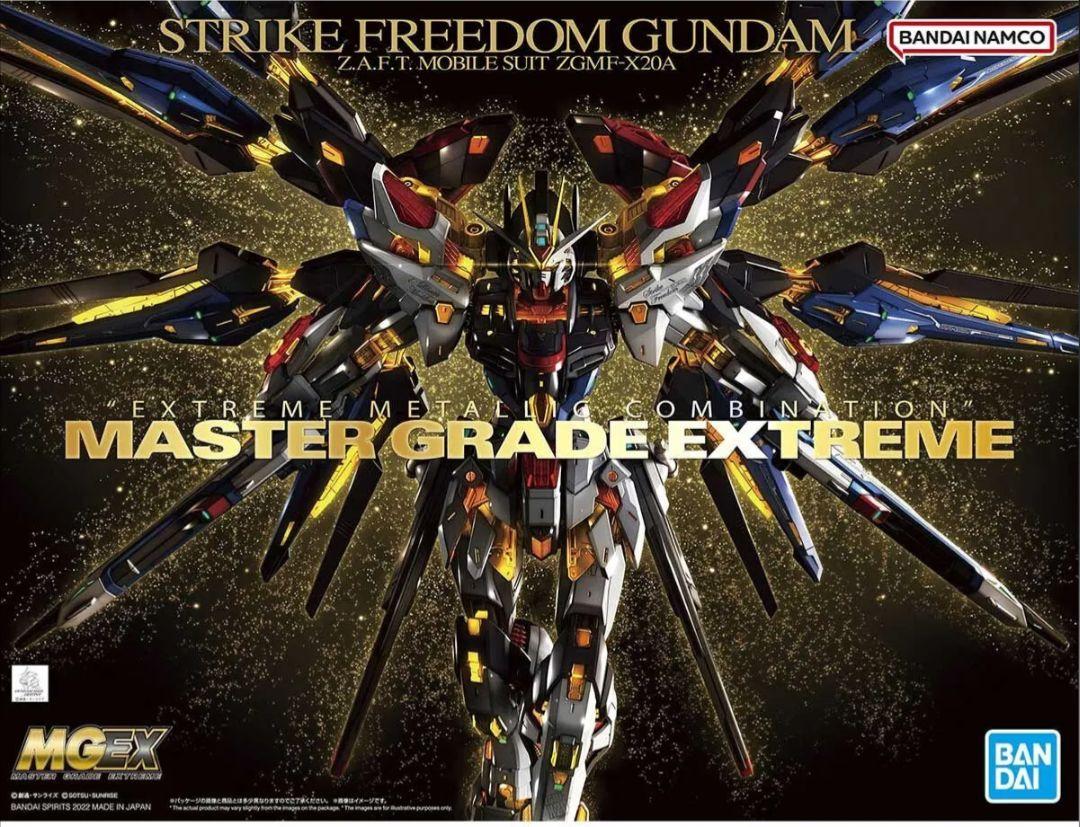 ひ*さ様 MGEX ストライクフリーダムガンダム
