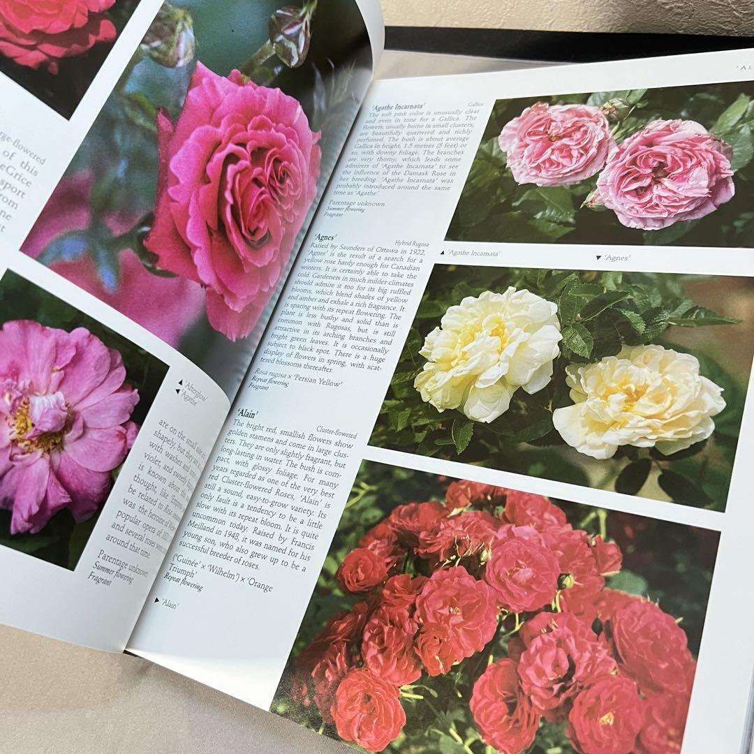 The Ultimate Rose Book 究極のローズブック 洋書 - メルカリ