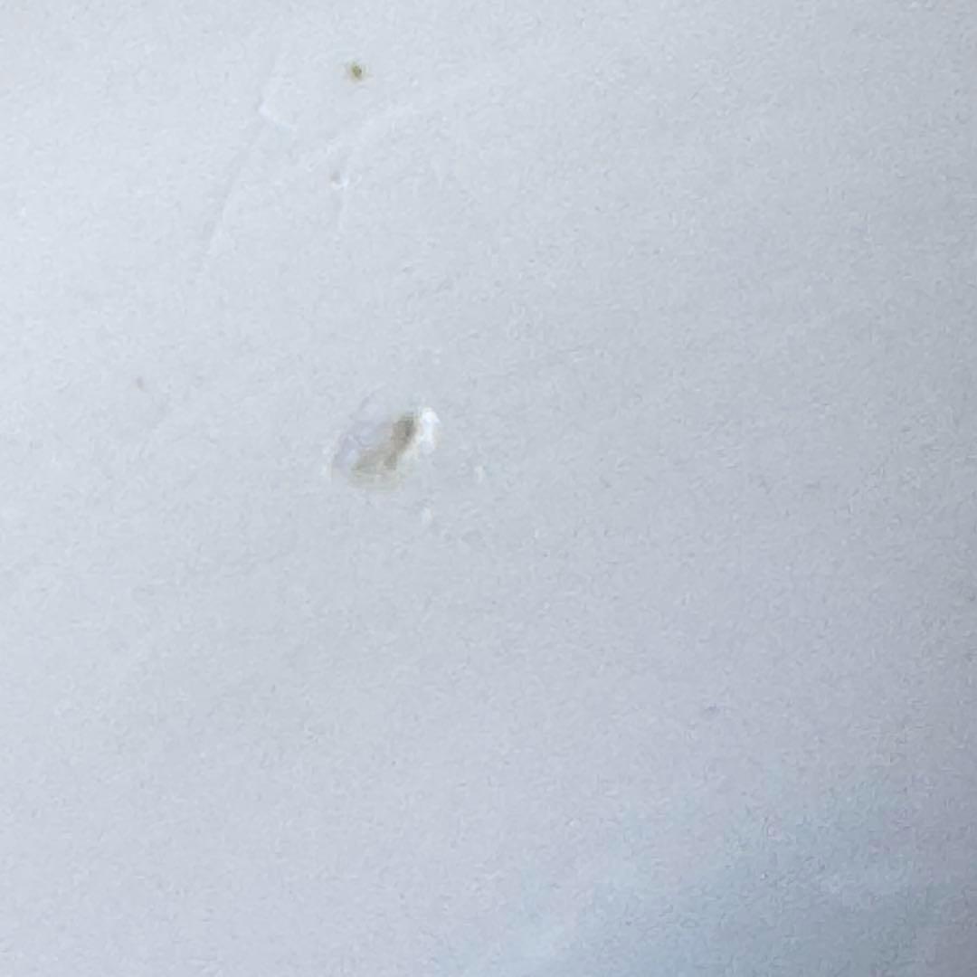 フランスアンティーク サルグミンヌ 花リム レギュミエ フランスアンティーク サルグミンヌ 花リム レギュミエ