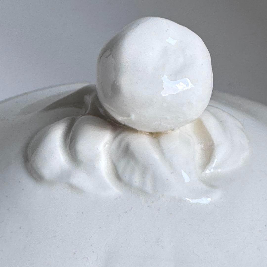 フランスアンティーク サルグミンヌ 花リム レギュミエ フランスアンティーク サルグミンヌ 花リム レギュミエ