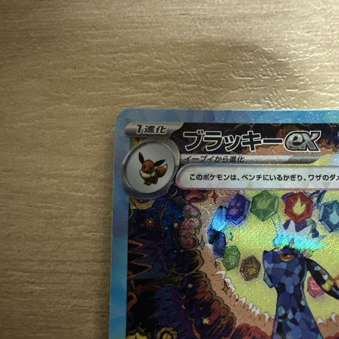 【極美品】ブラッキーex SAR SV8a テラスタルフェスex 217/187