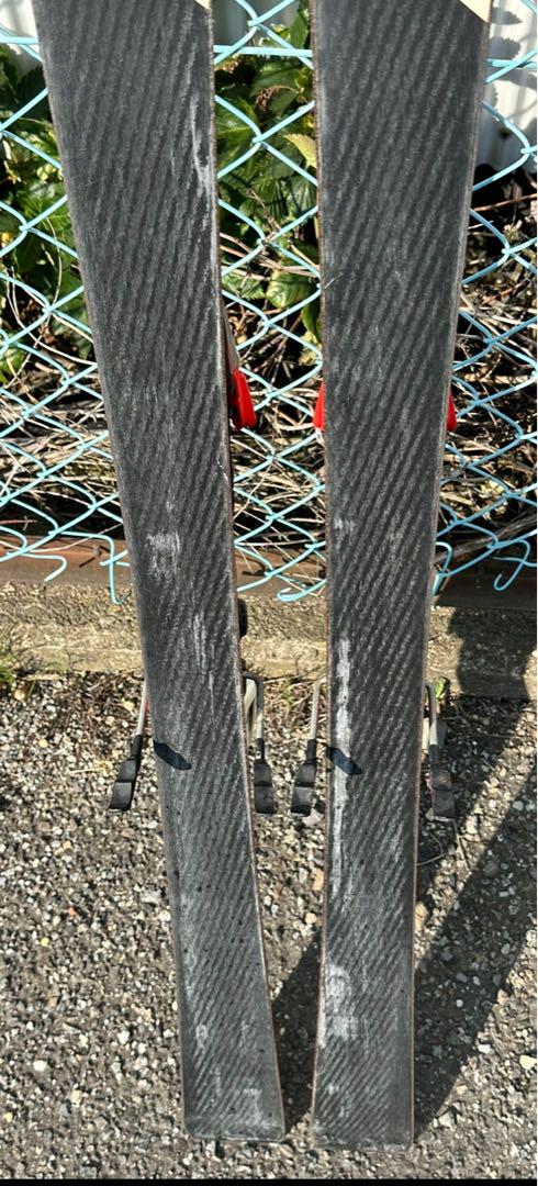 ノルディカ　ドーベルマン　SLj 141cm　ジュニア