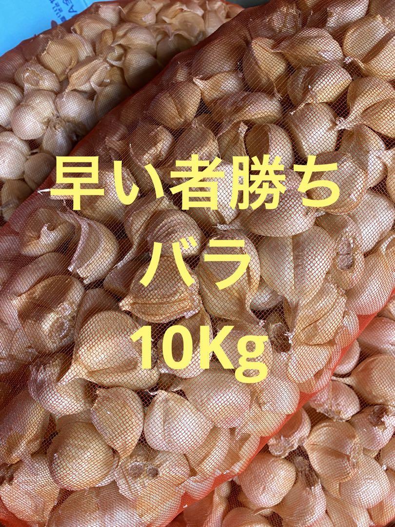 新物　青森県バラにんにく10Kg ML 新物青森県バラにんにく10Kg ML 早い者勝ち