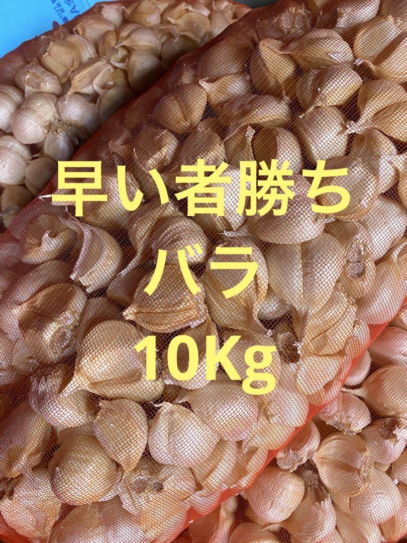 1点から卸価格でご提供 青森県バラにんにく10Kg 大 種、加工オススメ