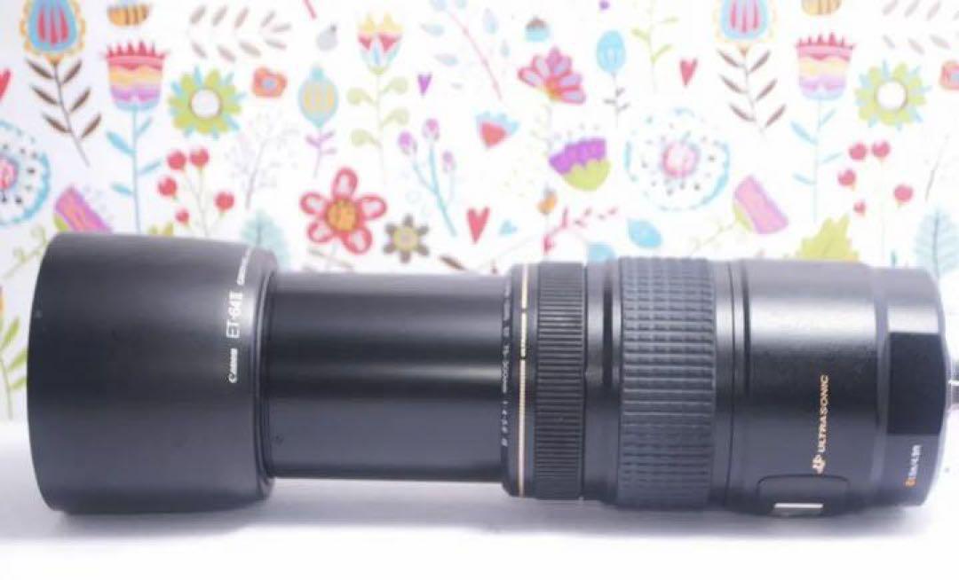 ❤️美品❤️Canon EF 75-300mm IS USM❤️超望遠❤️人気