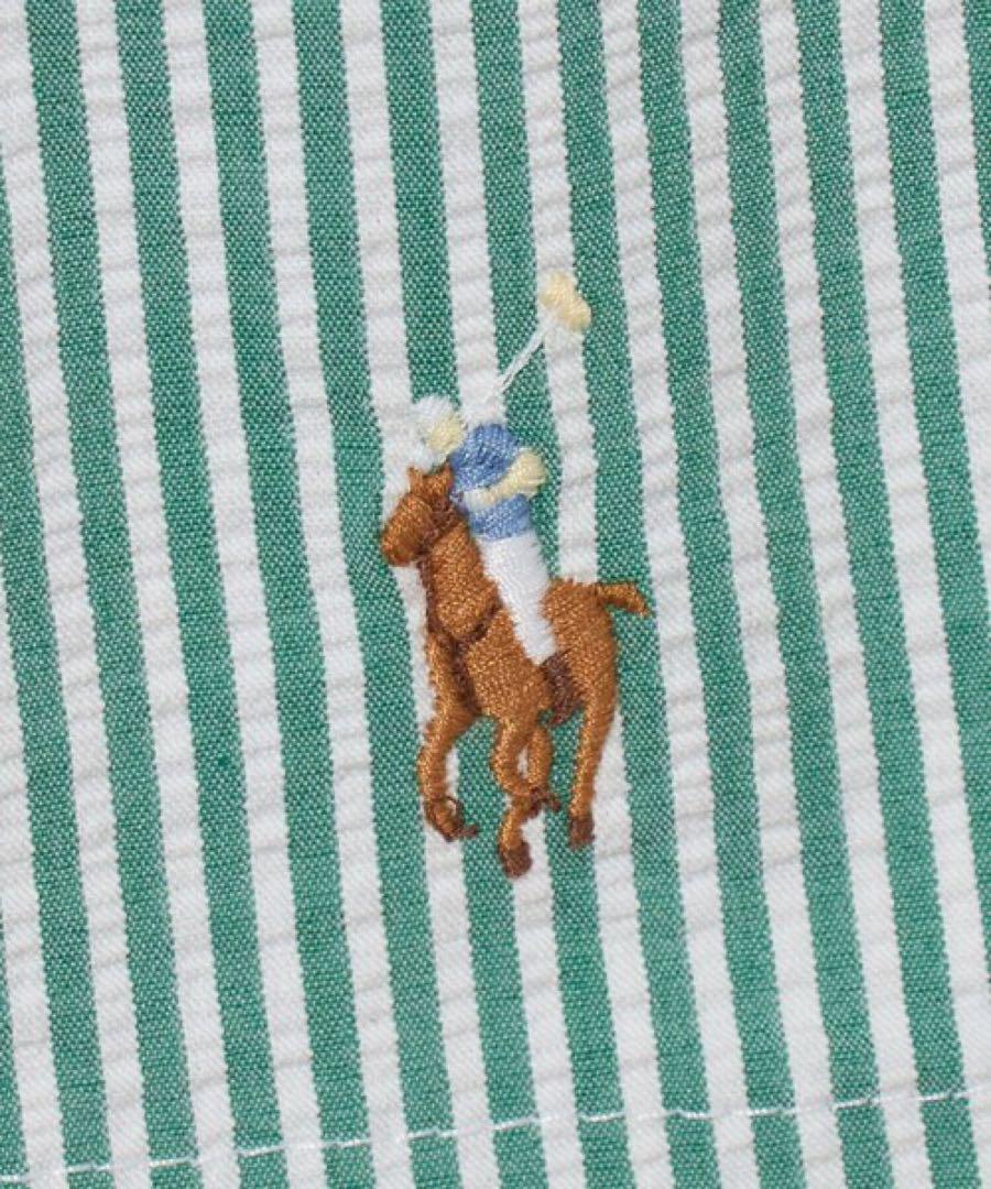 POLO RALPH LAUREN サーフショーツ 希少L シアサッカー 緑
