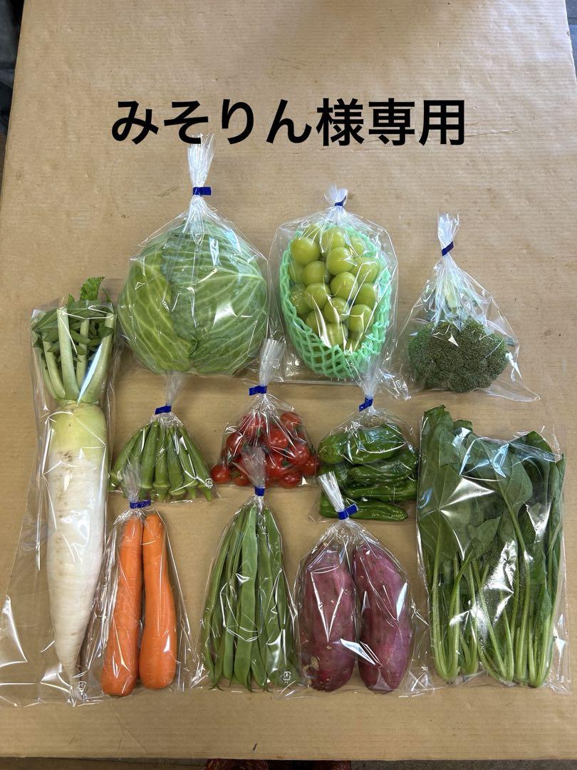伊豆天城産山葵市場規格500グラム