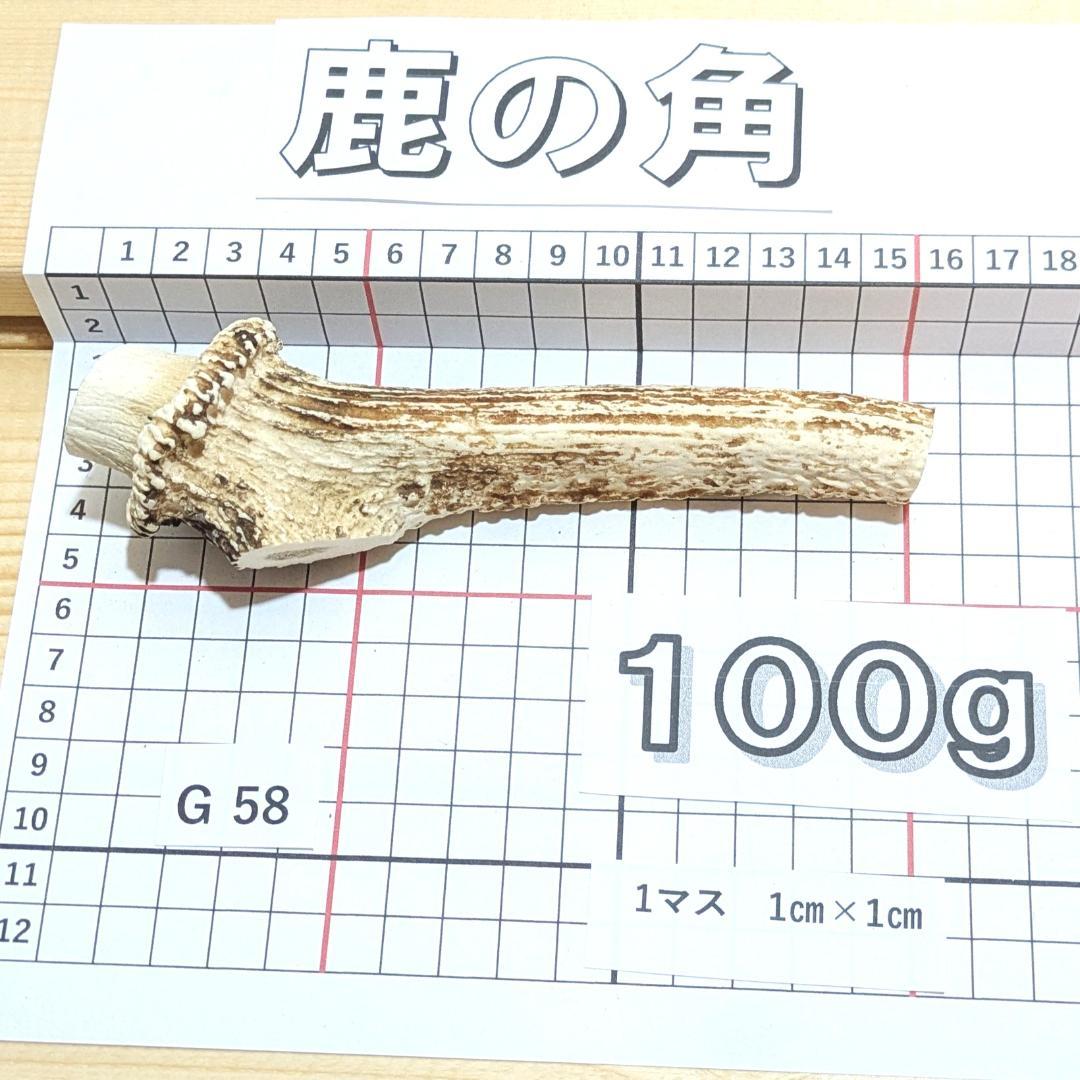 兵庫県北部産★鹿の角２１本★ 野生 天然の日本鹿の角