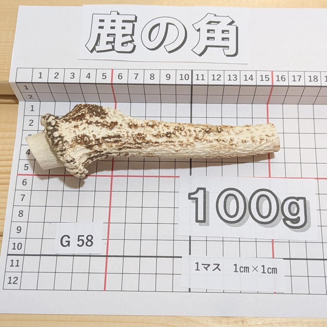 兵庫県北部産★鹿の角 まとめ売り★ 兵庫県北部産☆鹿の角 まとめ売り☆低 価格 通販