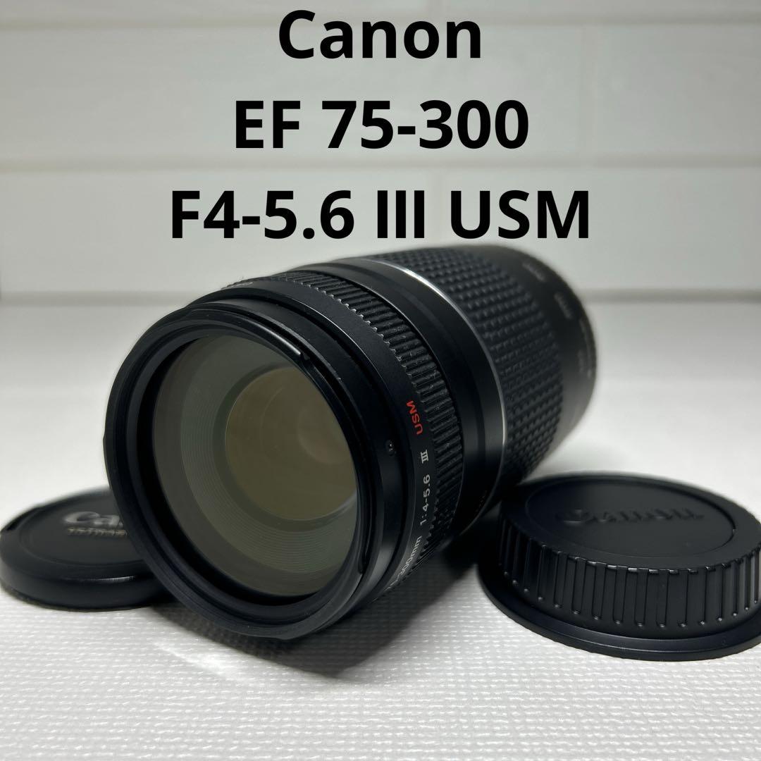 Canon EF 75-300mm F4-5.6 Ⅲ USM 望遠レンズ