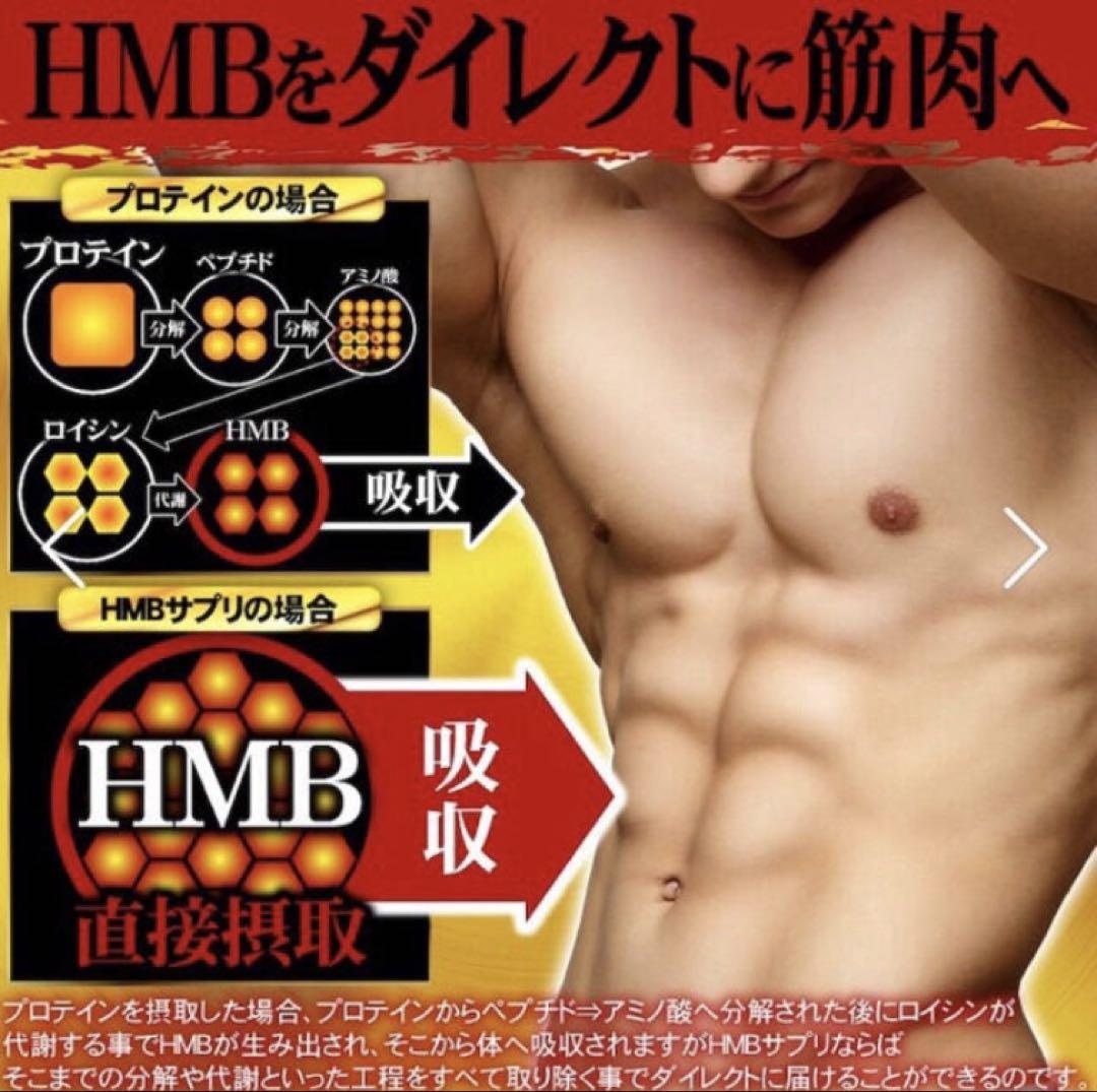 【新品未開封】3袋セットFIRA HMB ファイラマッスルサプリ 楽天市場】ファイラ マッスル サプリ hmbの通販