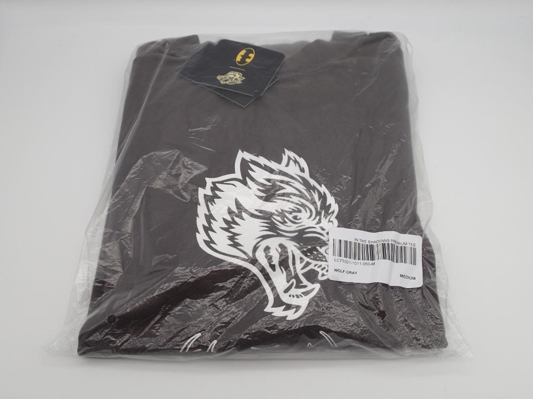 Darc Sport THE SHADOWS OVERSIZED TEE GRY