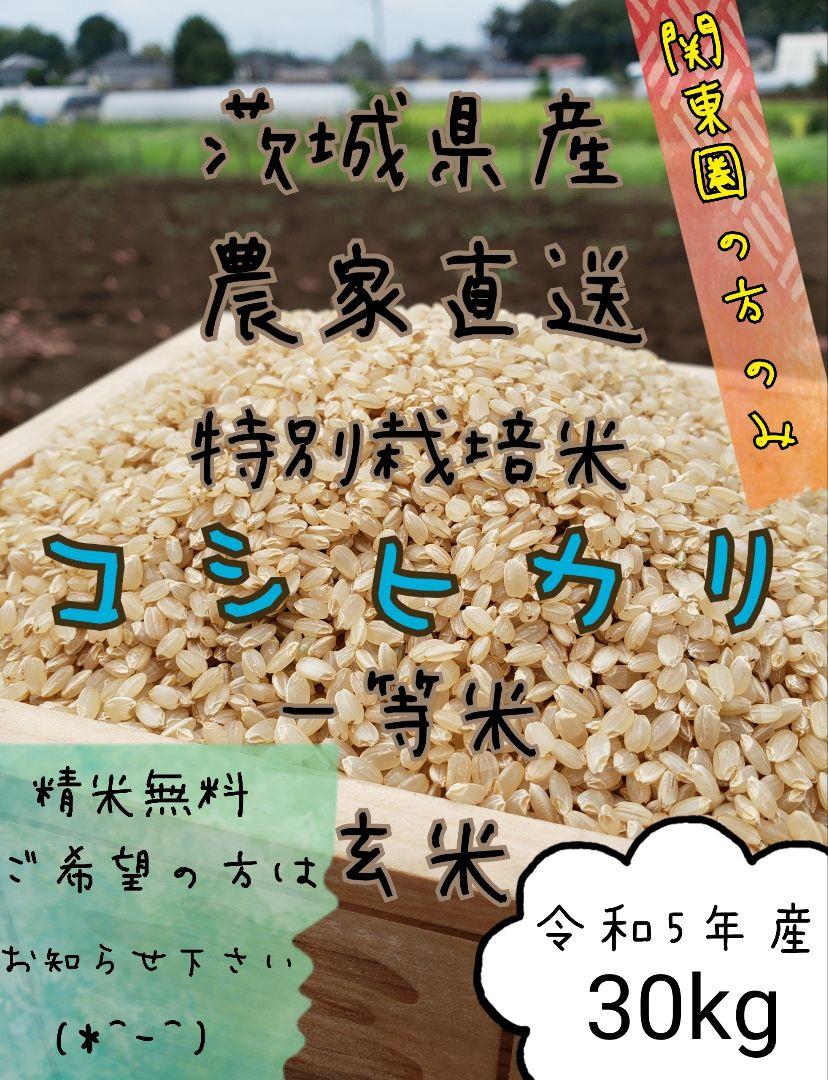 新米　玄米コシヒカリ 　30キロ　令和5年　お米　白米　精米　 茨城県産　関東圏