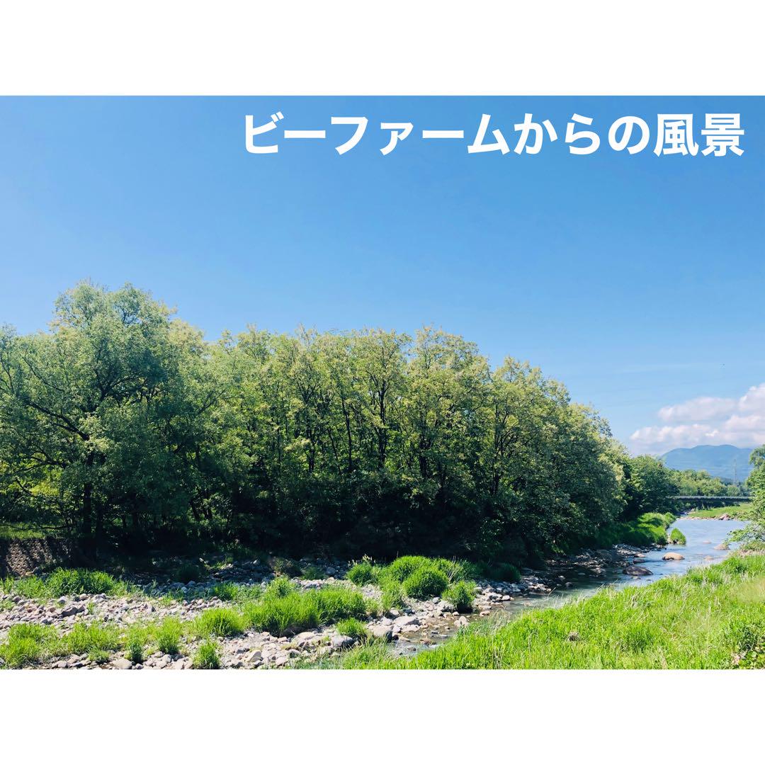 ◇◆令和6年収穫◆◇山梨県産 八ヶ岳 生はちみつ 《アカシア》450g×４本