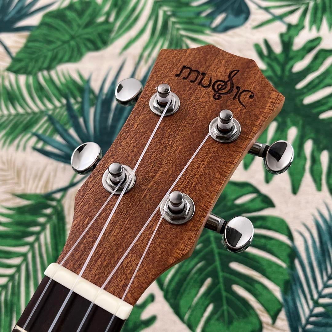music ukulele】つる薔薇のエレキ・コンサートウクレレ【入門
