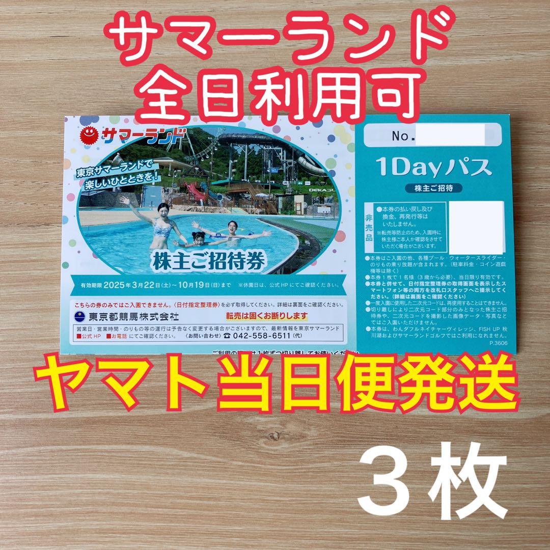 【全日利用可】サマーランド　株主 ご招待券　1Dayパス　フリーパス　3枚　dg