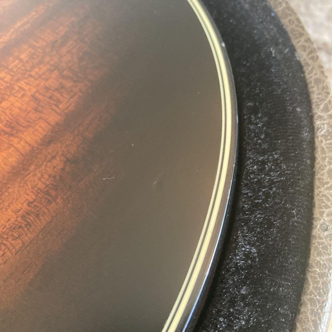 TAKAMINE タカミネ TDP-471M MTB　限定100本