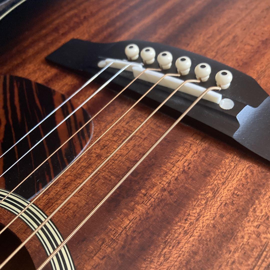 TAKAMINE タカミネ TDP-471M MTB　限定100本