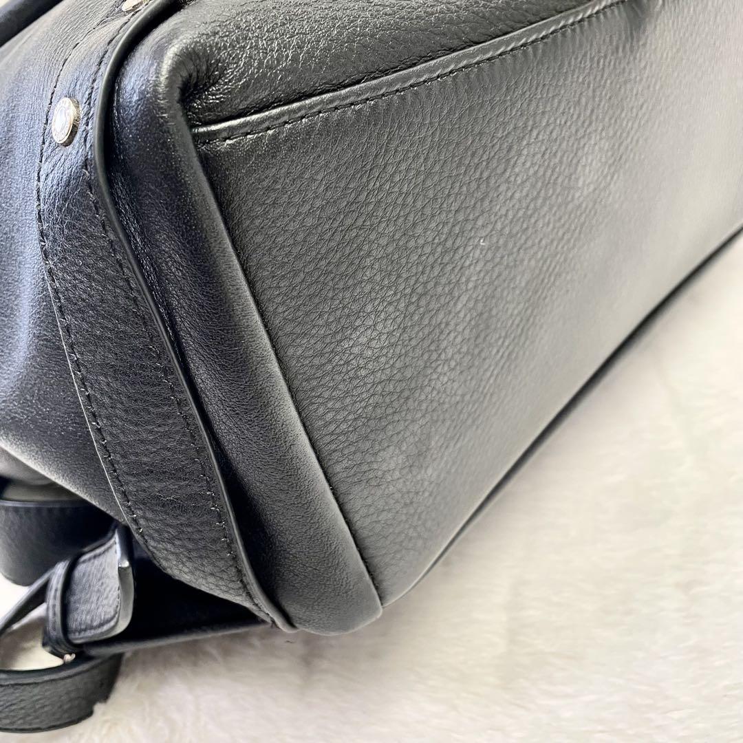 極美品《HAYNI ヘイニ》Alba アルバ リュック 黒 定価25000円