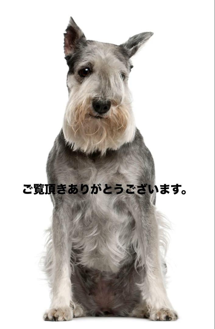 90sUSA製 アニマル犬DOG シュナウザー アートTシャツ 在原みゆ紀