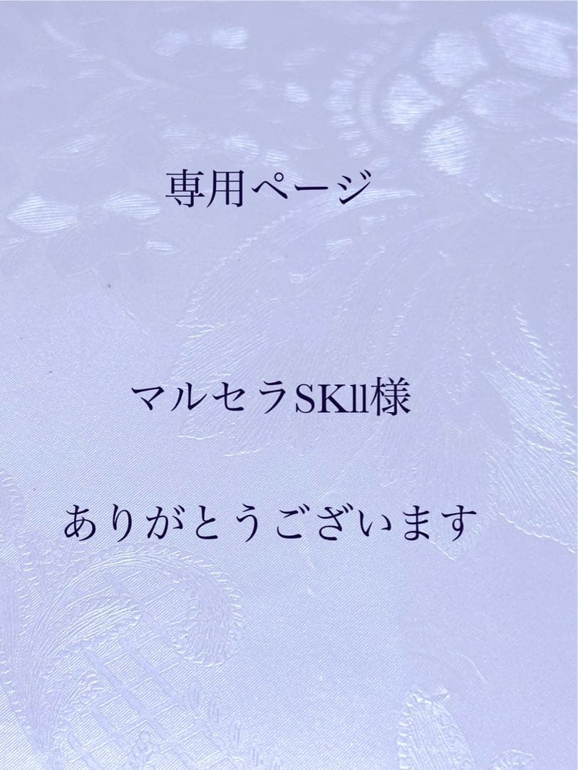 専用ページ　14kgfチェーンパーツ