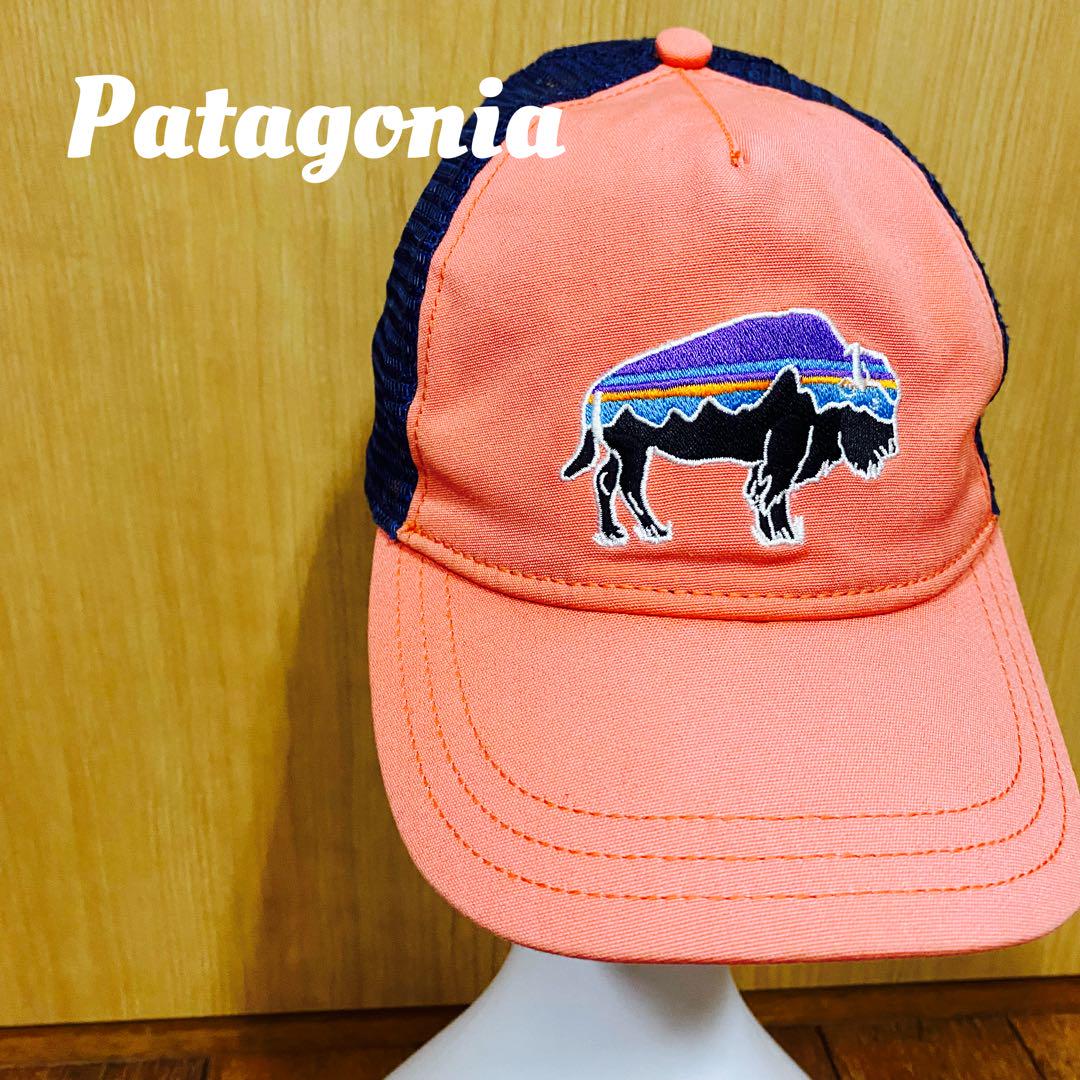 【激レア】パタゴニアPatagonia 刺繍キャップ　帽子　アウトドア　古着
