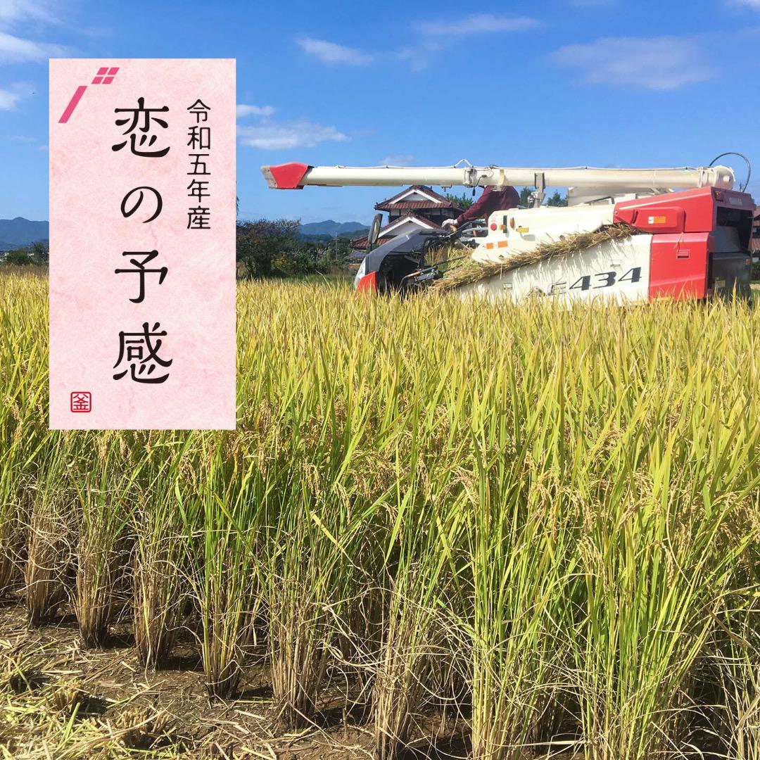 まゆみさま専用ページ