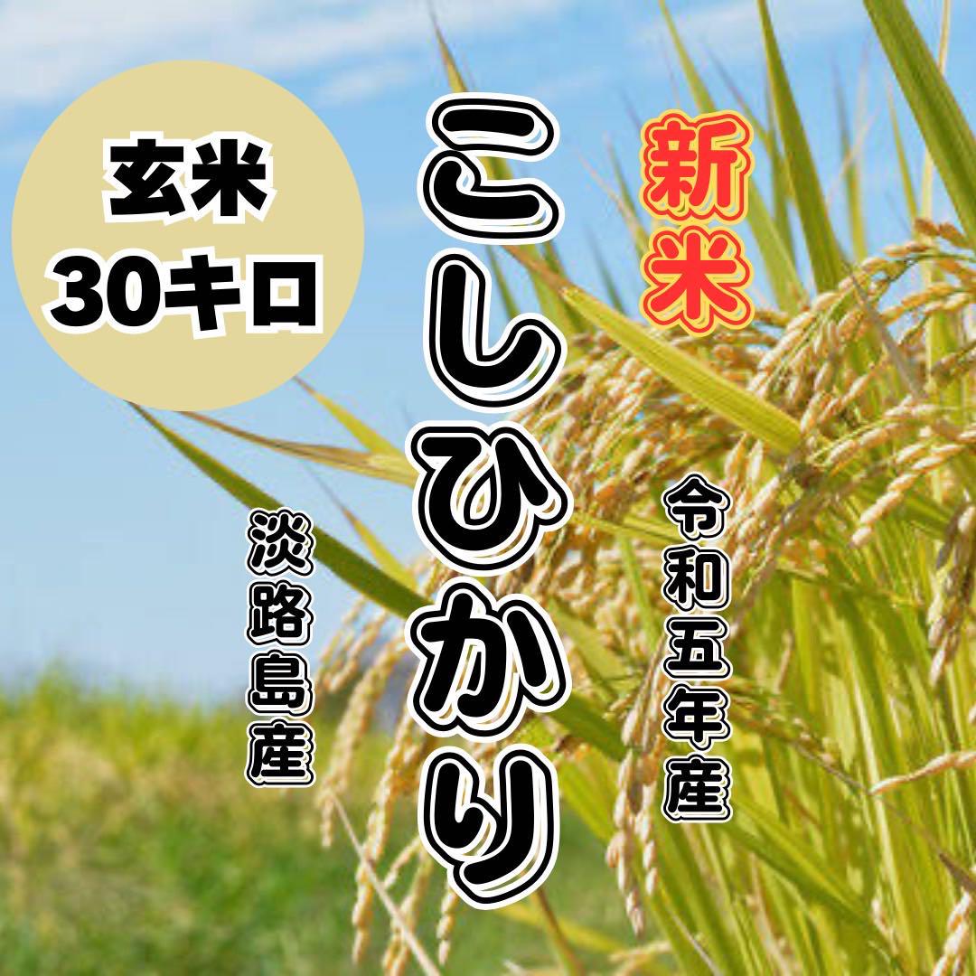 ☆家計応援☆【R6年産新米】佐渡産こしいぶき ー慣行栽培米ー 25kg